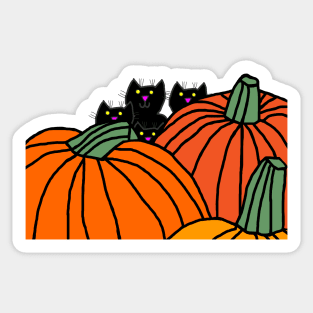 Halloween Horror Kittens and Pumpkins Sticker